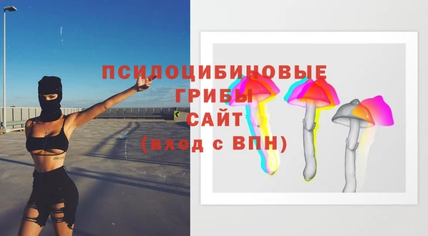 герыч Зерноград