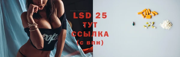 спиды Зеленокумск