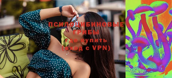 спиды Зеленокумск